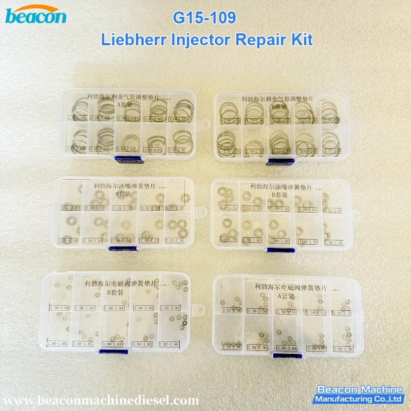 {G15-109 Liebherr Injector Repair Kit}